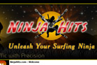 Ninja Hits